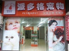 泉州黑心宠物店爆料视频,虐待动物，售卖病猫病狗